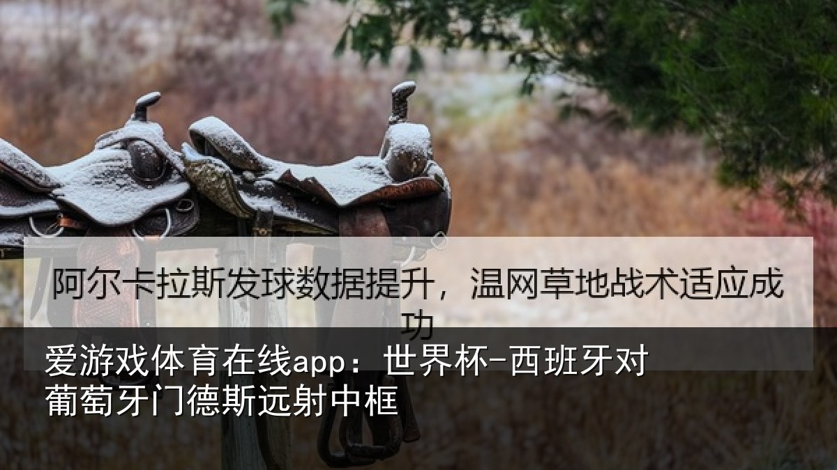 爱游戏体育在线app:世界杯-西班牙对葡萄牙门德斯远射中框