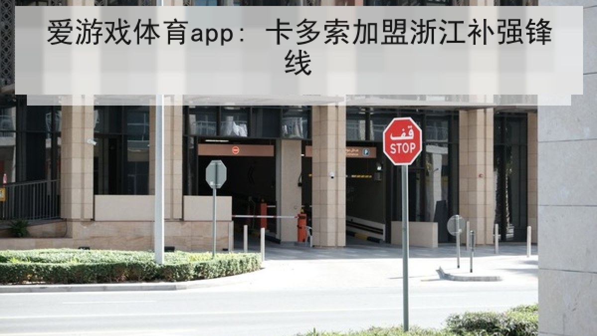爱游戏体育app: 卡多索加盟浙江补强锋线 爱游戏体育app: 卡多索加盟浙江补强锋线